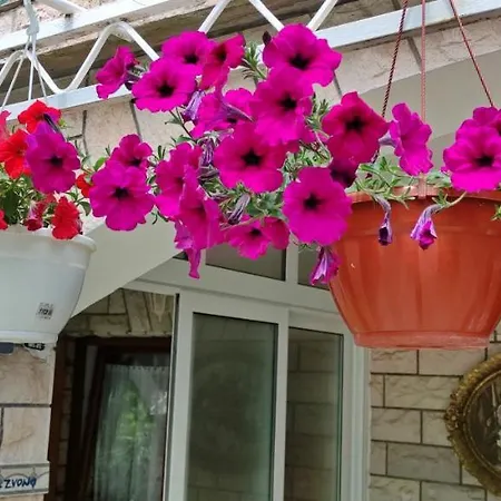 Apartamento 1000 Flowers Stari Grad (Hvar)