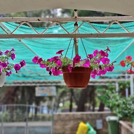 1000 Flowers Apartamento