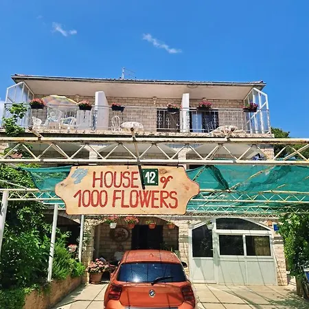 1000 Flowers