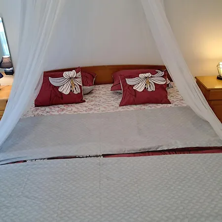 Apartment 1000 Flowers Stari Grad (Hvar)