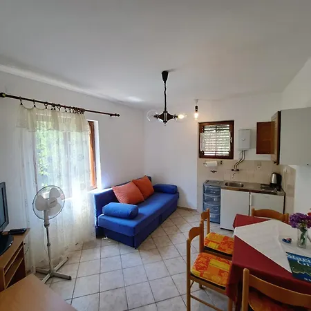 1000 Flowers شقة ستاري غراد