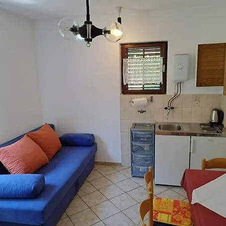 1000 Flowers ستاري غراد