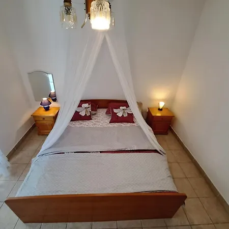 1000 Flowers ستاري غراد