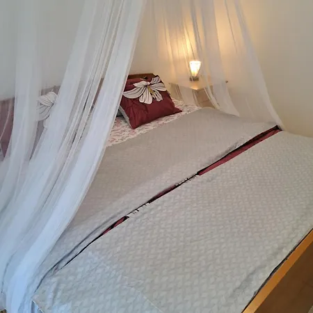 1000 Flowers * ستاري غراد