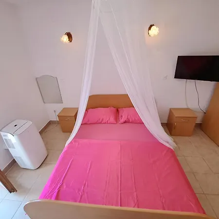 1000 Flowers * ستاري غراد