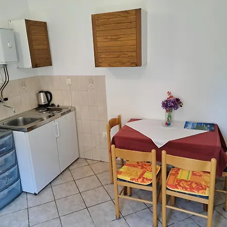 1000 Flowers ستاري غراد