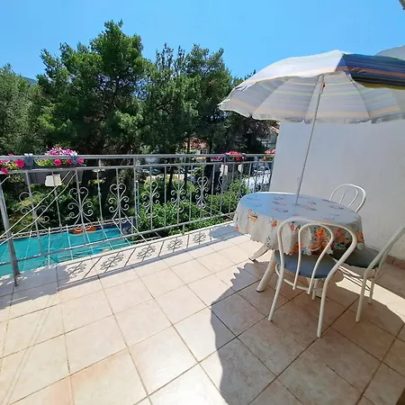 1000 Flowers ستاري غراد