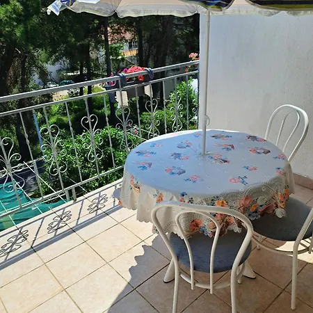 1000 Flowers ستاري غراد