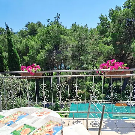 1000 Flowers * Stari Grad (Hvar)