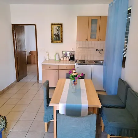 1000 Flowers * ستاري غراد