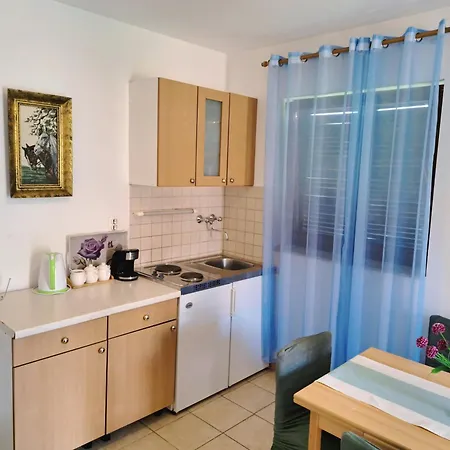 1000 Flowers شقة ستاري غراد